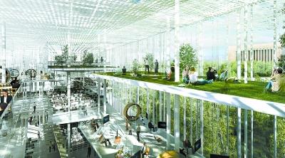 2025年澳门今晚开奖号码，全面释义解释落实