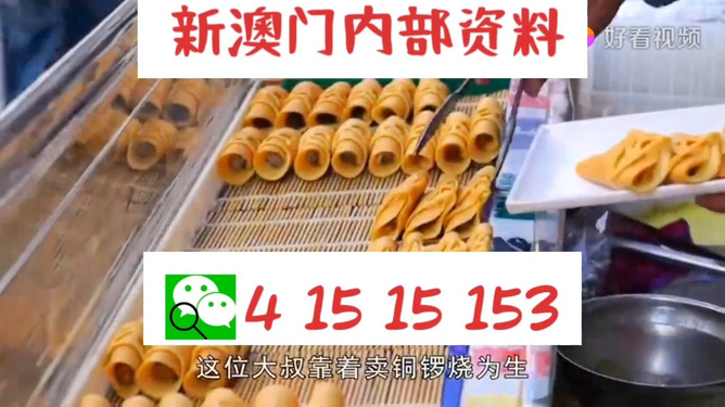 2024澳门天天开好彩大全19期，精选解析解释落实