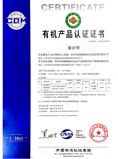 澳门今晚一肖必中特，实用释义解释落实