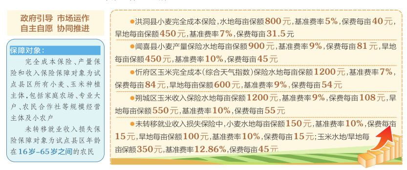 777778888精准免费四肖，词语释义解释落实