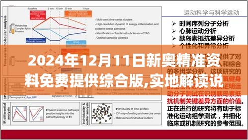 2025精准资料免费大全，实用释义解释落实