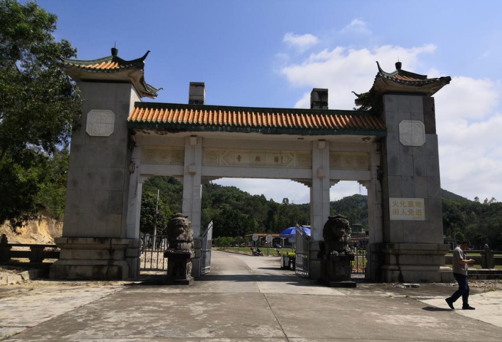 澳门今晚必定开一肖，全面释义解释落实