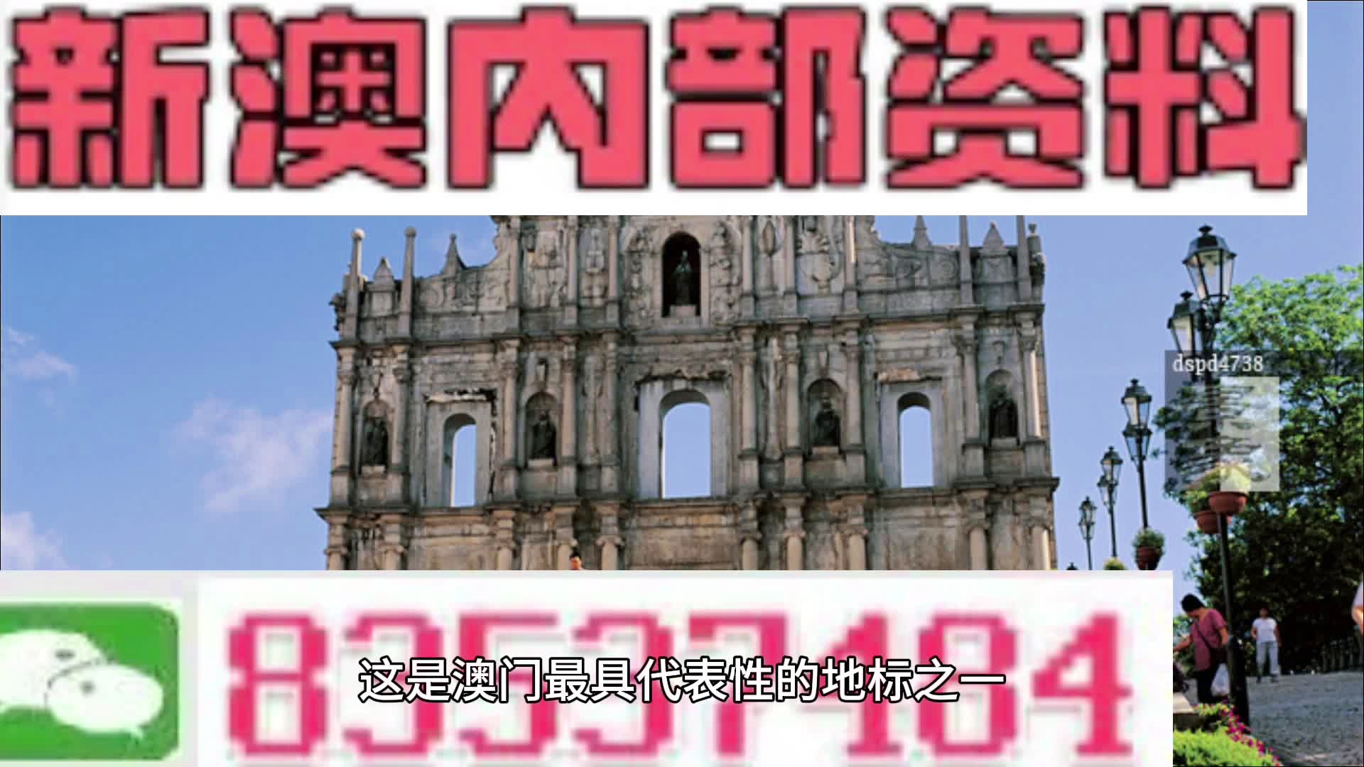 新澳门三期内必开一肖，词语释义解释落实