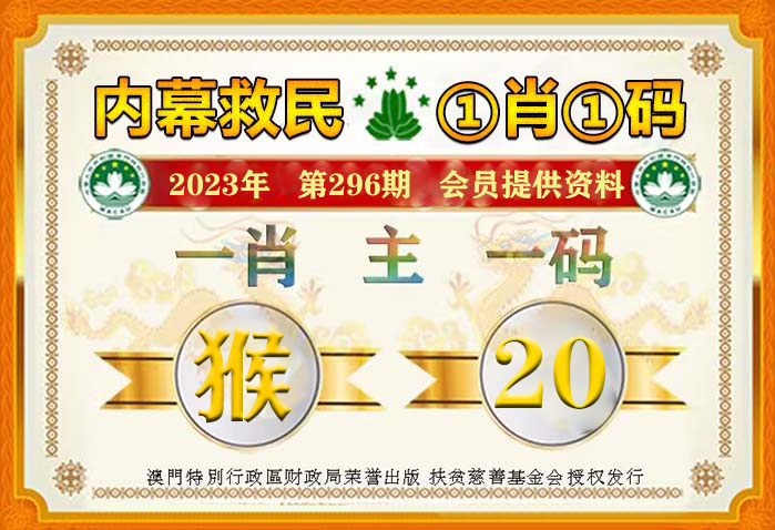 澳门一肖一码100%一中，词语释义解释落实