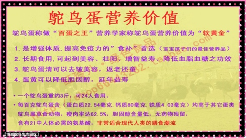 资讯 第13页