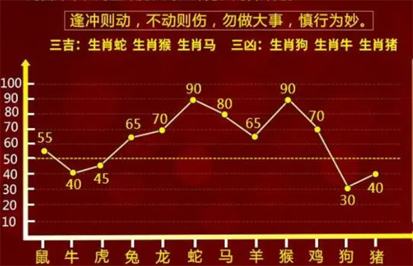 一肖一码一特一中，词语释义解释落实