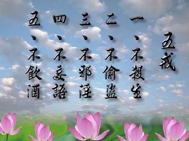 澳门一码一肖一恃一中312期，词语释义解释落实
