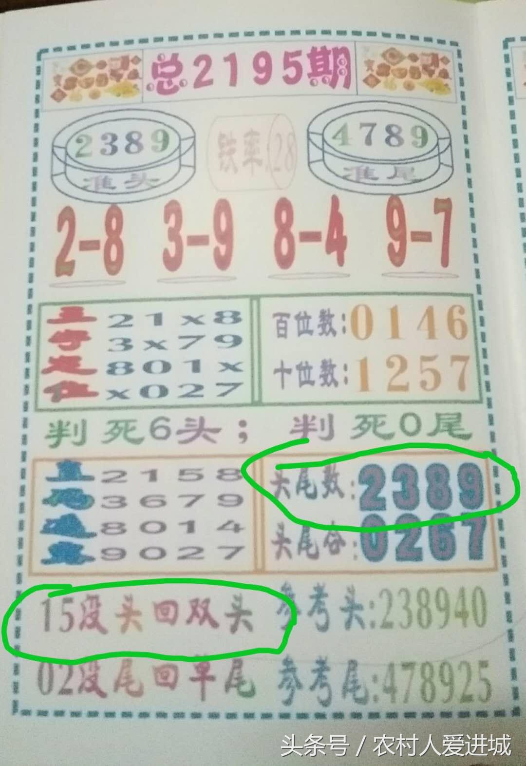 澳门一肖100准免费，词语释义解释落实