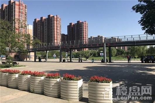 石家庄燕港美域最新消息